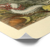 Coral Snails Meerestiere Art Print Poster (Ecke)