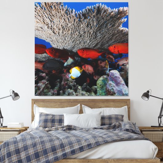 Coral und Fisch Wanddekor Leinwand Print (Insitu (Schlafzimmer))