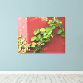 Coral Vine Canvas Print Leinwanddruck (Insitu (Holzboden))