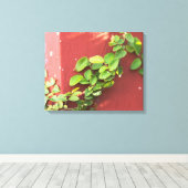 Coral Vine Canvas Print Leinwanddruck (Insitu (Holzboden))