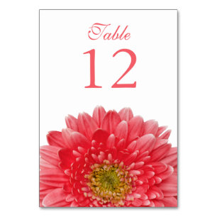 Coral White Gerbera Daisy Wedding Tischnummer