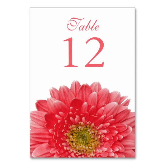 Coral White Gerbera Daisy Wedding Tischnummer (Vorderseite)