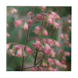 Coralbell-Blume Fliese
