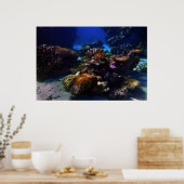 CoralGarden Poster (Küche)