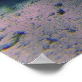 CoralGarden Poster (Ecke)