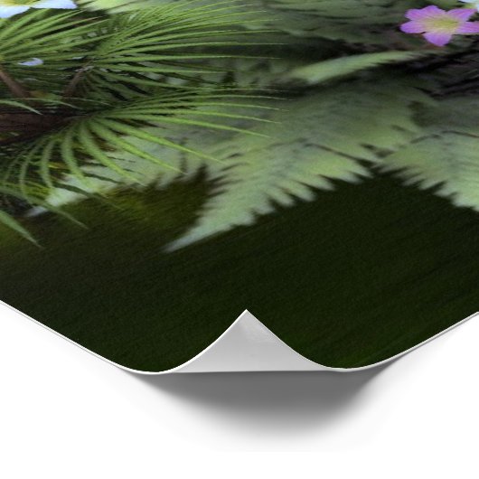 Corals Garden Poster (Ecke)