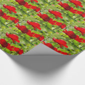 corb Mohnblume Geschenkpapier (Ecke)