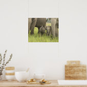 Corbett National Park, Uttaranchal, Indien. Poster (Küche)