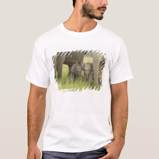 Corbett National Park, Uttaranchal, Indien. T-Shirt (Vorderseite)