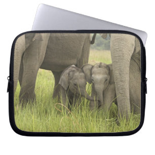 Corbett-Nationalpark, Uttaranchal, Indien. Laptopschutzhülle