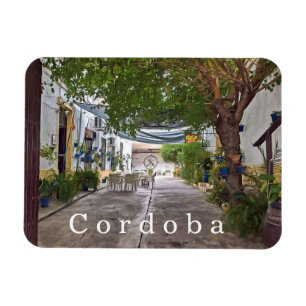Cordoba. 30.   magnet
