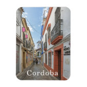 Cordoba. #46. magnet (Vertikal)