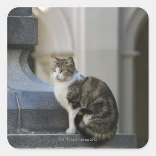 Cordoba, Argentina Quadratischer Aufkleber