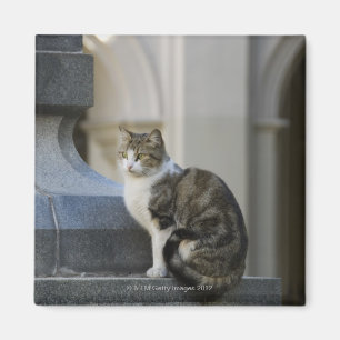 Cordoba, Argentinien Magnet