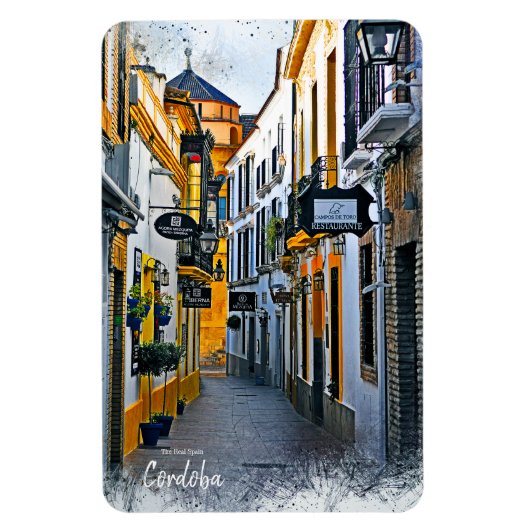 Cordoba Straße -Spanien Postkarte Magnet (Vertikal)