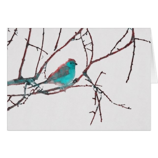 Cordon bleu Waxbill (Vorderseite (Horizontal))