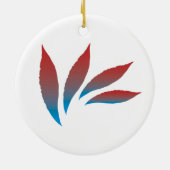 Core Imaginations Ornament (Hinten)