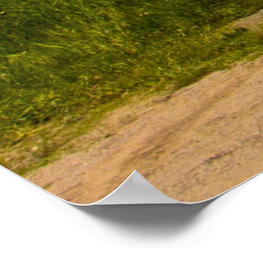 Corea, Maine Poster (Ecke)