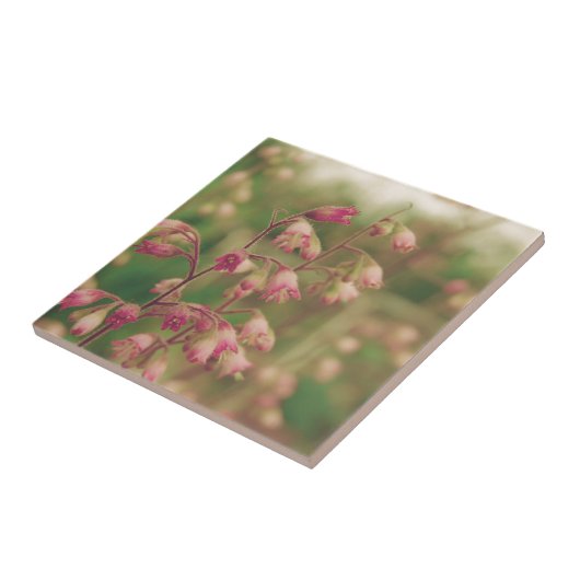 Corelbells, Frühlingsblumen Fliese (Seite)