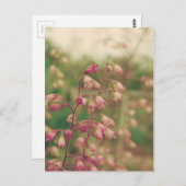 Corelbells, Frühlingsblumen Postkarte (Vorne/Hinten)