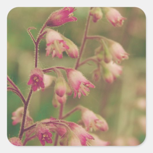 Corelbells, Frühlingsblumen Quadratischer Aufkleber (Vorderseite)