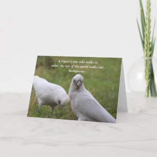 Corella Freundschaftszitat Grußkarte Dankeskarte