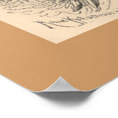 Corella Poster (Ecke)