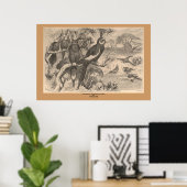 Corella Poster (Heimbüro)