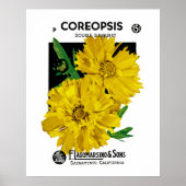 COREOPIS POSTER (Vorne)