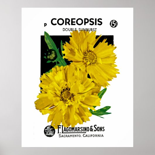 COREOPIS POSTER (Vorne)
