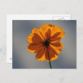 COREOPIS POSTKARTE (Vorne/Hinten)