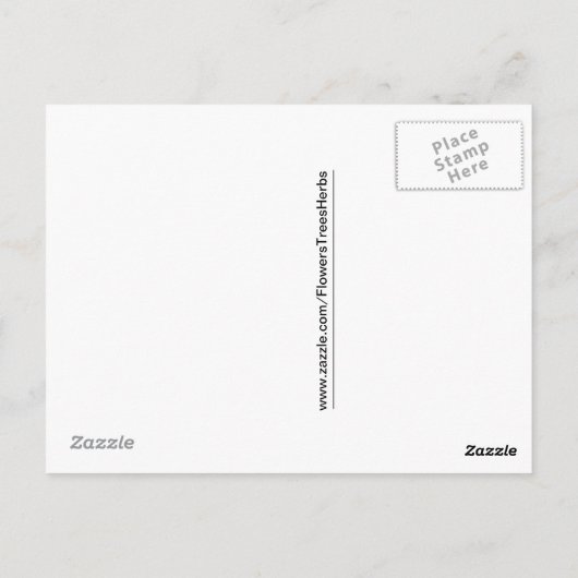 COREOPIS POSTKARTE (Rückseite)