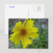 COREOPIS POSTKARTE (Vorne/Hinten)
