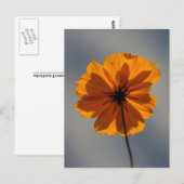 COREOPIS POSTKARTE (Vorne/Hinten)