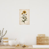 Coreopsis Botanischer Druck Poster (Küche)