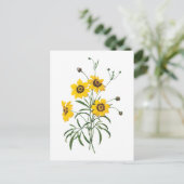 coreopsis(Coreopsis elegans) von Redouté Postkarte (Stehend Vorderseite)