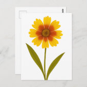 Coreopsis — Fröhlichkeit Postkarte (Vorne/Hinten)
