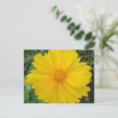 Coreopsis Gelbe Blume Bloom Postkarte (Stehend Vorderseite)