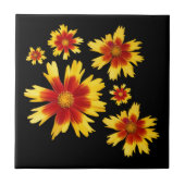 Coreopsis Gold und Bronze Tickseed Blume Medley Fliese (Vorderseite)