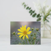 Coreopsis Postkarte (Stehend Vorderseite)