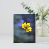 Coreopsis Postkarte (Stehend Vorderseite)