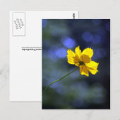 Coreopsis Postkarte (Vorne/Hinten)