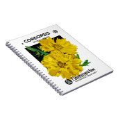 Coreopsis-Samenpackungsetikett Notizblock (Rechte Seite)