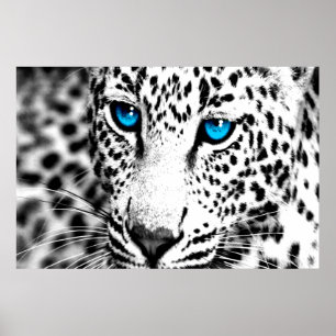 Corey Tiger 80er Retro Leopard Poster