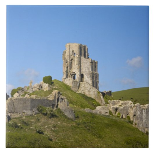 Corfe Castle, Corfe, Dorset, England Fliese (Vorderseite)