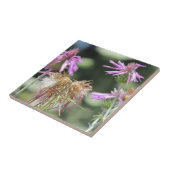 Corfu Lilac Wildblumen Keramik Tile Fliese (Seite)