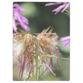 Corfu Lilac Wildblumen Klemmbrett (Rückseite)