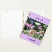 Corfu Lilac Wildblumen Planer (Anzeige)