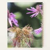 Corfu Lilac Wildblumen Planer (Rückseite)