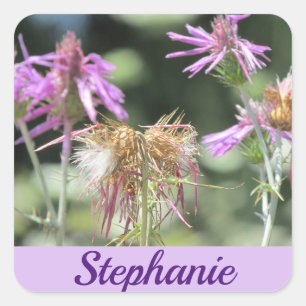 Corfu Lilac Wildblumen Quadratischer Aufkleber